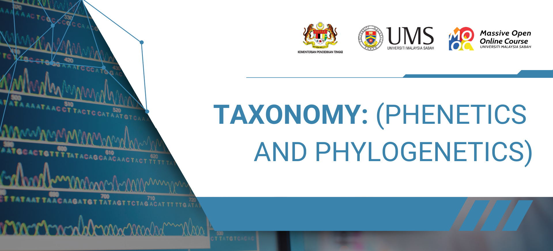 TAXONOMY: PHENETICS AND PHYLOGENETICS