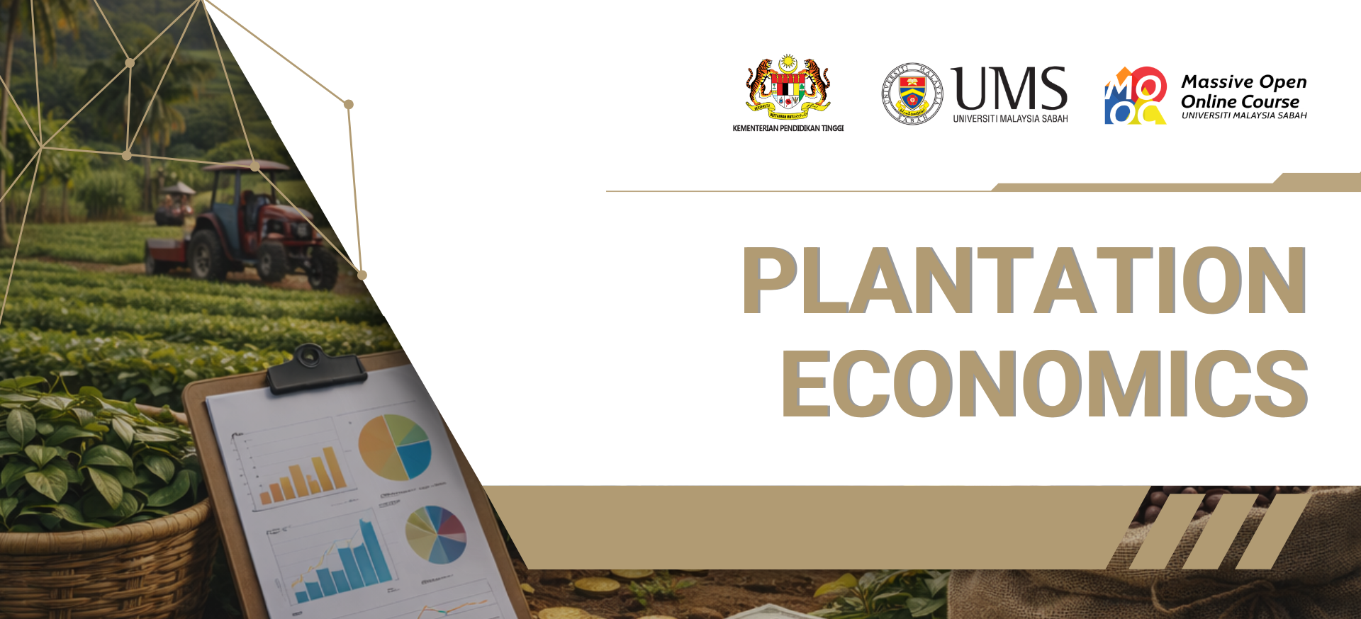 PLANTATION ECONOMICS