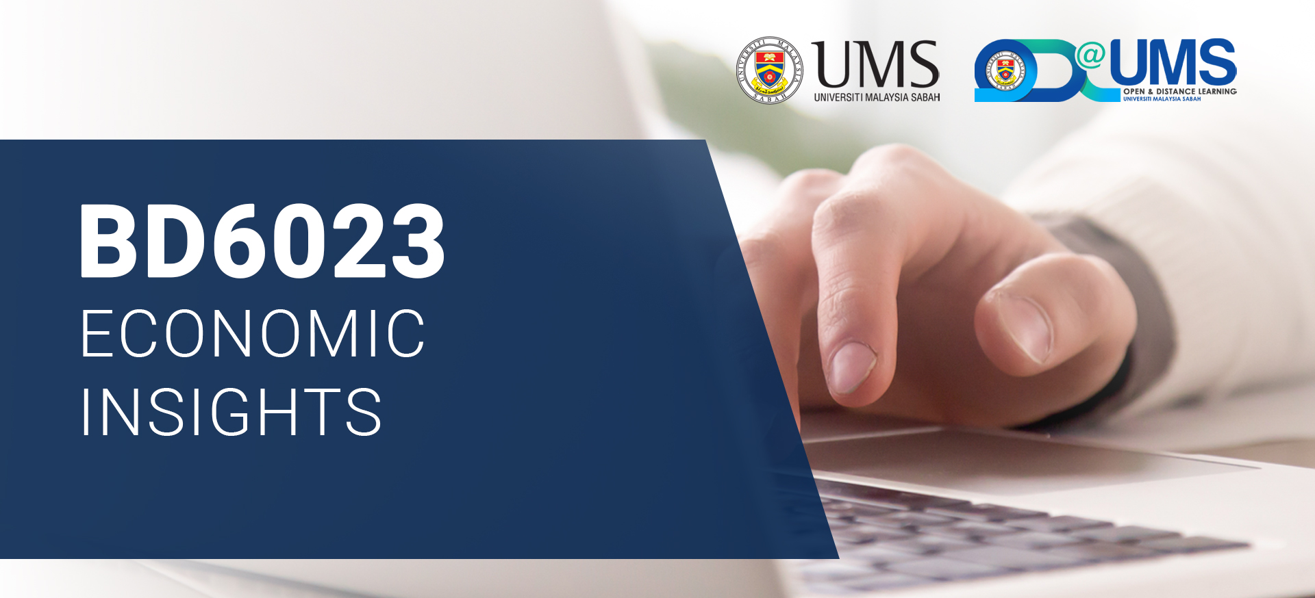 BD6023 ECONOMIC INSIGHTS